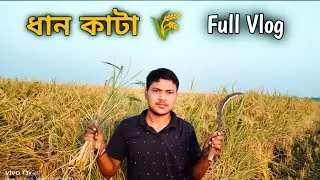 ধান কি করে কাটে 🌾 || আমাদের ধান কাটা শুরু 🌾। Dhan kata 🌾😍 #desibibek25 