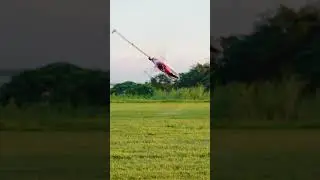 Piro flip #rchelicopter #xlpower #3dheli #drone #3dheli #engineering #helicopter