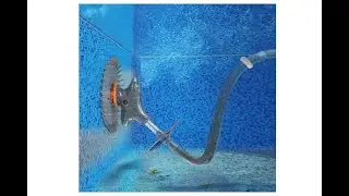 TACKLIFE Automatic Suction Pool Cleaner, 32ft Hose, Swimming Pool 16 'x 32'  - Overview