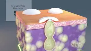 Acne Spot Fast Fix