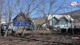 Azərbaycan malakanları: Rus Borisi bu gün