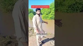 shujabad selaab update.. #shujabadi #rescue #selab #selab