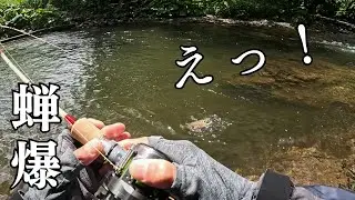 釣育　以前にデカイの釣ったポイントにセミルアーをキャストした結果　下調べが最高の結末に・・・。　息子は最高のプレゼントを手にするの巻