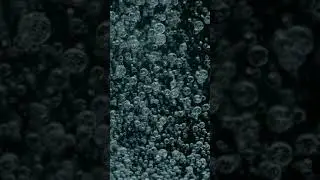 #bubbles #calm #short #relaxing #videos #viral