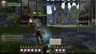Dragon Nest lvl60 Crusader Ft. Zap and Hammer EX