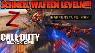 Bo4 ZOMBIES SCHNELL WAFFEN LEVELN!||Black ops 4||DEUTSCH/GERMAN||TheZolloZombie
