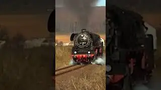 Goldene 44 1486 in der goldenen Aue