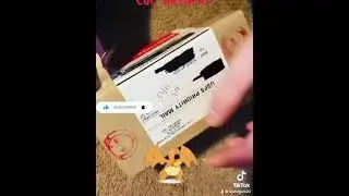 #Shorts - 🔥Charizard🔥 Opening Pok&eacute;mon Cards! My CGC Return Is Here!!