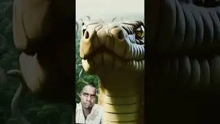 MMS jungle 🐍🐍🐍🐍🐍