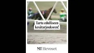 MT Hevoset Kesatarjous 15 s pysty