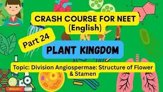Angiosperms : Structure of Flower and Stamen | Plant Kingdom | NEET Biology