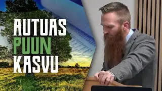 Autuas puun kasvu - Miska Wilhelmsson