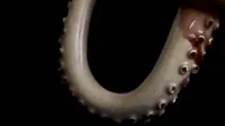 Il piacere della ceramica.