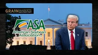 US Soybean Growers Beg Trump for China Trade Deal