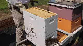 Virtual Farm Tour- Bee Apiary