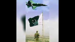 Independence day status vedio/ 14 August dp picture