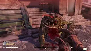 Fallout 76 - Event: Heart of the Swamp / group @ Tha_BoogieMan_2's camp
