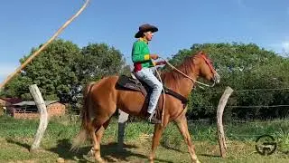 Ariel P&eacute;rez - Camino que va ah&iacute; pa&rsquo; arriba (video oficial)
