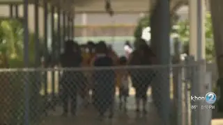 HSTA says 'schools are not safe spaces' and demand DOE take action