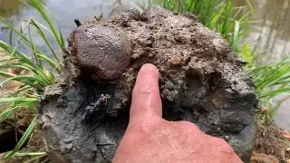 Digging Rich GOLD DEPOSITS!! #grassrootsmining