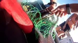 Holly's Giant Smallie
