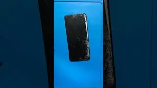 OPPO Reno 8 📱📱📲📲📲