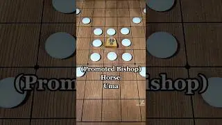 How do SHOGI PIECES MOVE? #将棋 #shogi #japanese #chess #shorts
