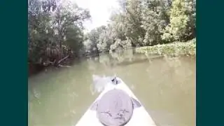 kayak camping on the Ocklawaha River from Ray Wayside park on Silver River to Gores Landing
