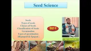 Seed Science | seed germination | classes of seeds | types of seeds |classification of seed