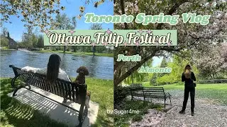 Vlog - Weekend Trip to Ottawa Tulip Festival, Perth , Almonte | New Tarot & Oracle Cards | Toronto