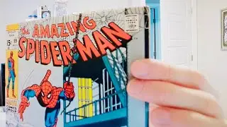 Cool Comic Store in Virginia Beach - Amazing Spider-Man 99