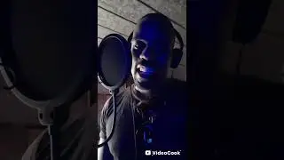 yellow mellow live in studio Costarico