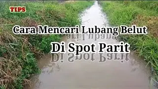 TIPS ~ MENCARI LUBANG BELUT DI SPOT PARIT YANG LEBAT.