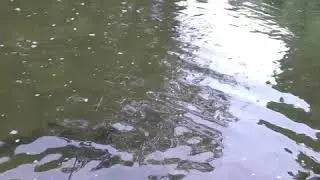 Fishing with zach