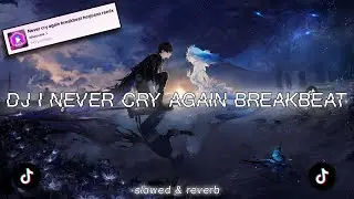 DJ I NEVER CRY AGAIN BREAKBEAT REMIX BY 𝙙𝙟𝙝𝙚𝙧𝙟𝙪𝙖𝙣𝙖 || slowed & reverb 🎧
