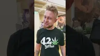 American Autoflower Cup Winners at Spannabis | Fast Buds Booth 196 #shorts