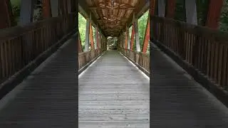 #nature #authenticnature #trees #forest #bridge #tranquility #explore #explorepage #birds