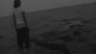 cape cod killer