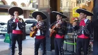 Mexican Mariachi Band in Adelaide for Private & Corporate Events