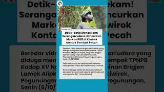 DETIK-DETIK MENEGANGKAN! Serangan Udara TNI RATAKAN Markas KKB di Kiwirok, TPNPB BALAS TEMBAK!