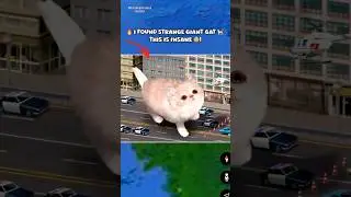 🔥I Found Strange Giant Cat 🐈 in Real Life On Google Earth 🌍! #shorts #findmysterioussecrets #maps