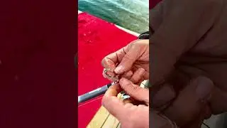 Balık yem şişi ineye nasıl takılır ? #balık #avcılık #fishing