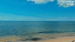 Beachmere Queensland | Australian Pure Nature