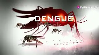 Wired's Top 10 Deadly Insects 2024