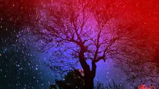 Tom Day - Echoes
