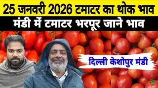 25 Jan 2026 🍅टमाटर का थोक भाव | Today Tomato Price keshopur mandi | Tamatar Ka Bhav #tomato #tamatar