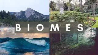BIOMES - Dad Village Symphony Orchestra