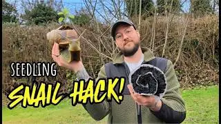 Seedling Snail Method: The Ultimate Space-Saving Tutorial /Allotment gardening UK