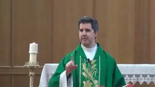 Homily - The Beatitudes: 4th Sunday in Ordinary Time 2017