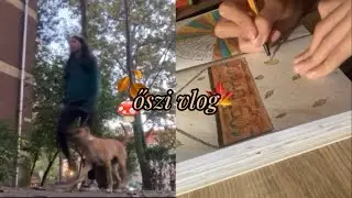 őszi Life update vlog🍂🍁🍄🤎